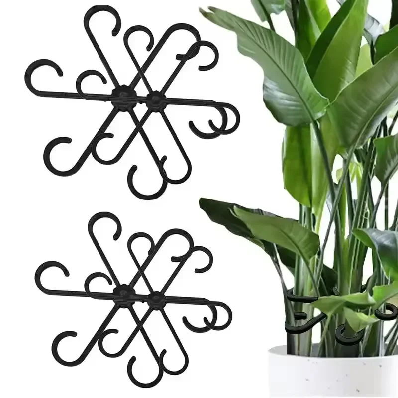 Variegated Monstera Node - Alocasia Monstera Yaprak Destekleri 4 Adet