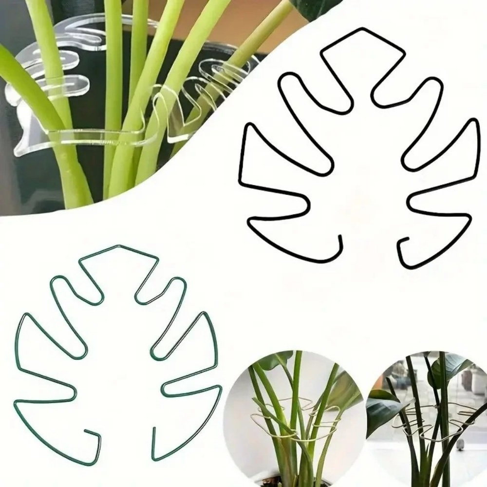 Variegated Monstera Node - 1 adet büyük bitki standı iç