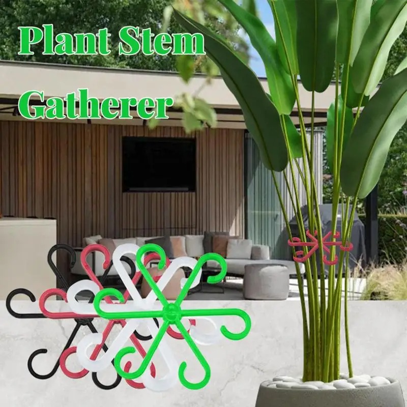 4 adet tırmanıcı bitki destek  - Variegated Monstera Node incelemesi ve fiyatı