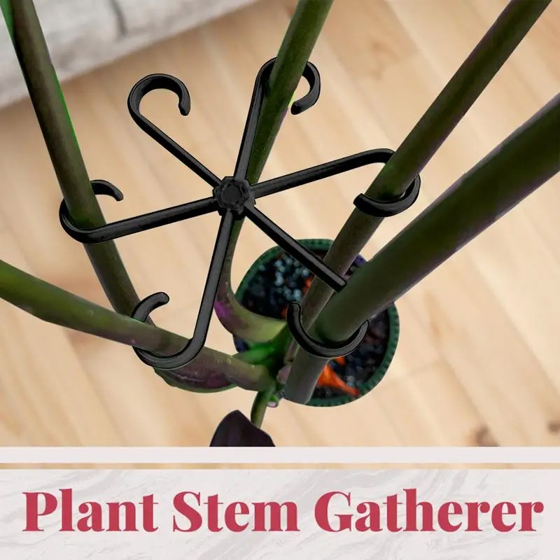 4 adet tırmanıcı bitki destek  - Variegated Monstera Node incelemesi ve fiyatı