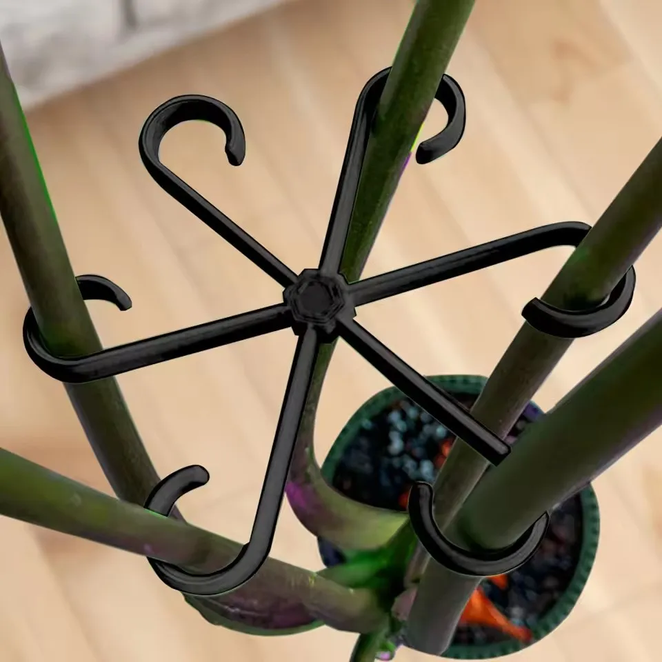 Alocasia Monstera Yaprak Deste - Variegated Monstera Node incelemesi ve fiyatı