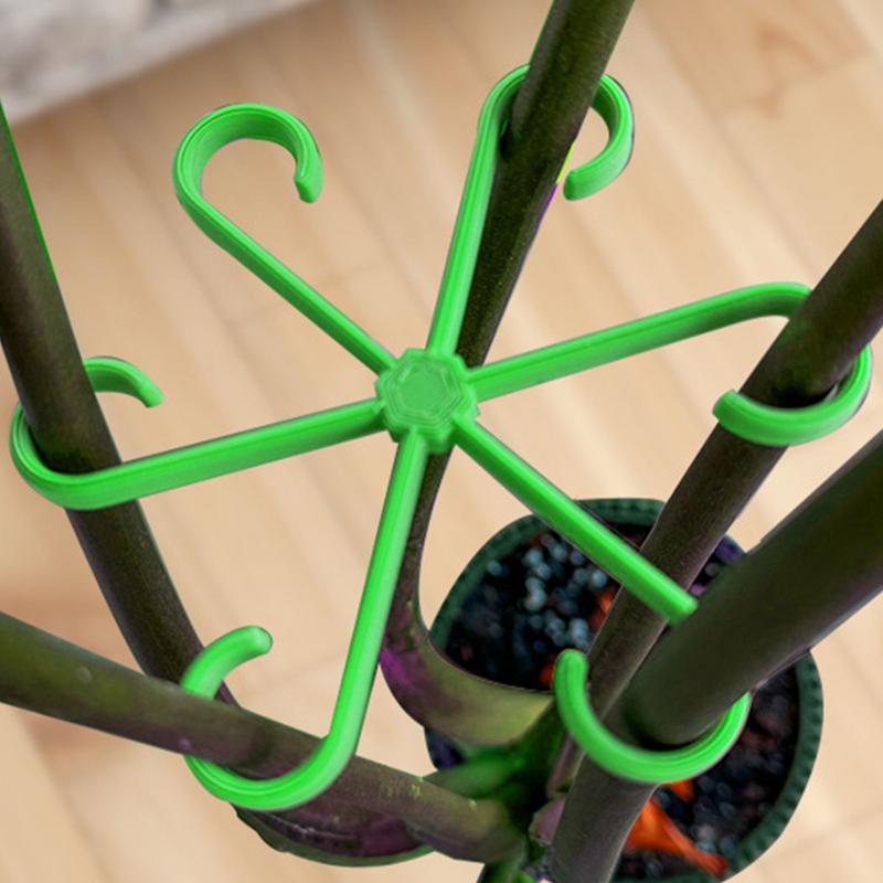 4 adet Tırmanma Tesisleri Dest - Variegated Monstera Node incelemesi ve fiyatı