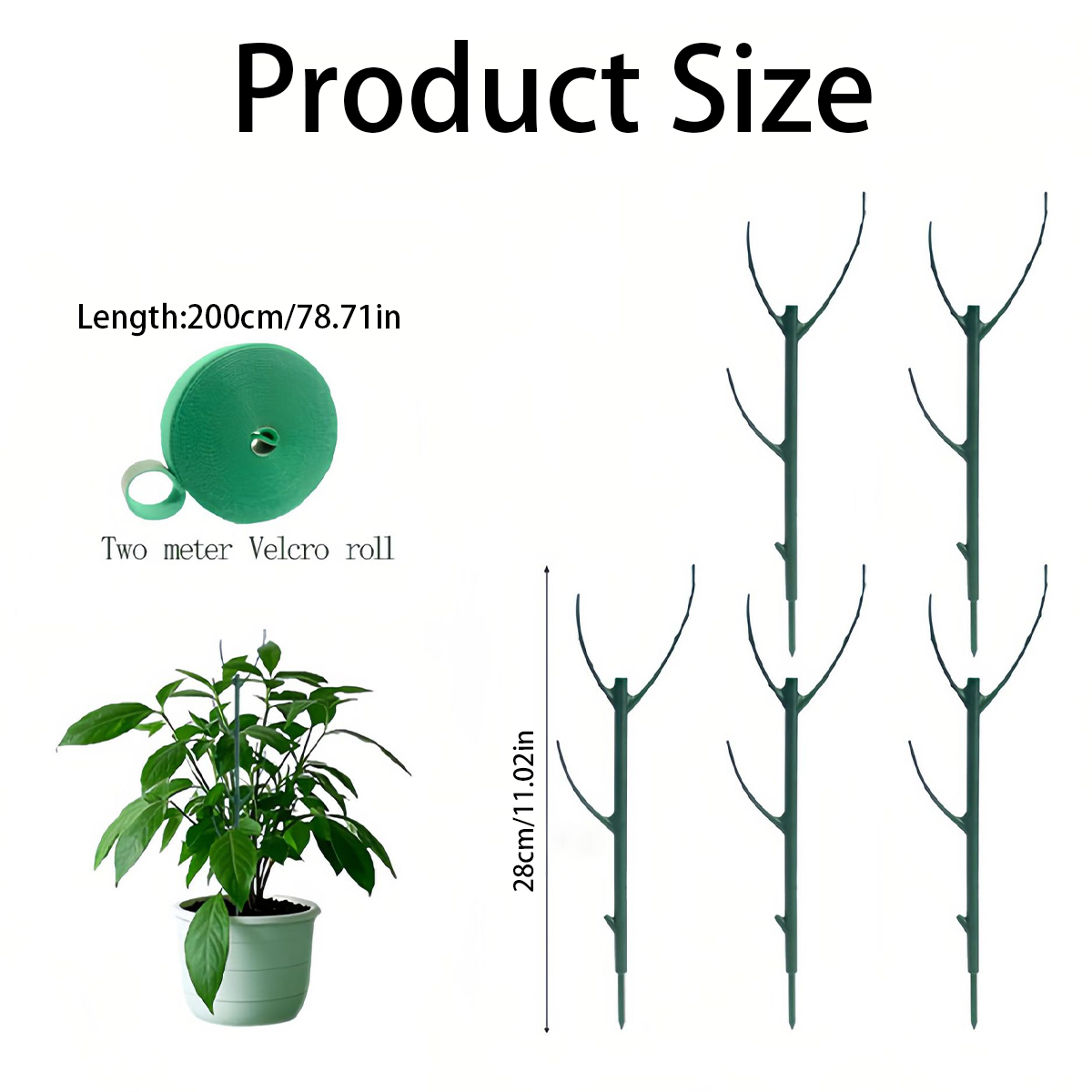 6 Adet Monstera Bitki Destek Ç - Variegated Monstera Node incelemesi ve fiyatı