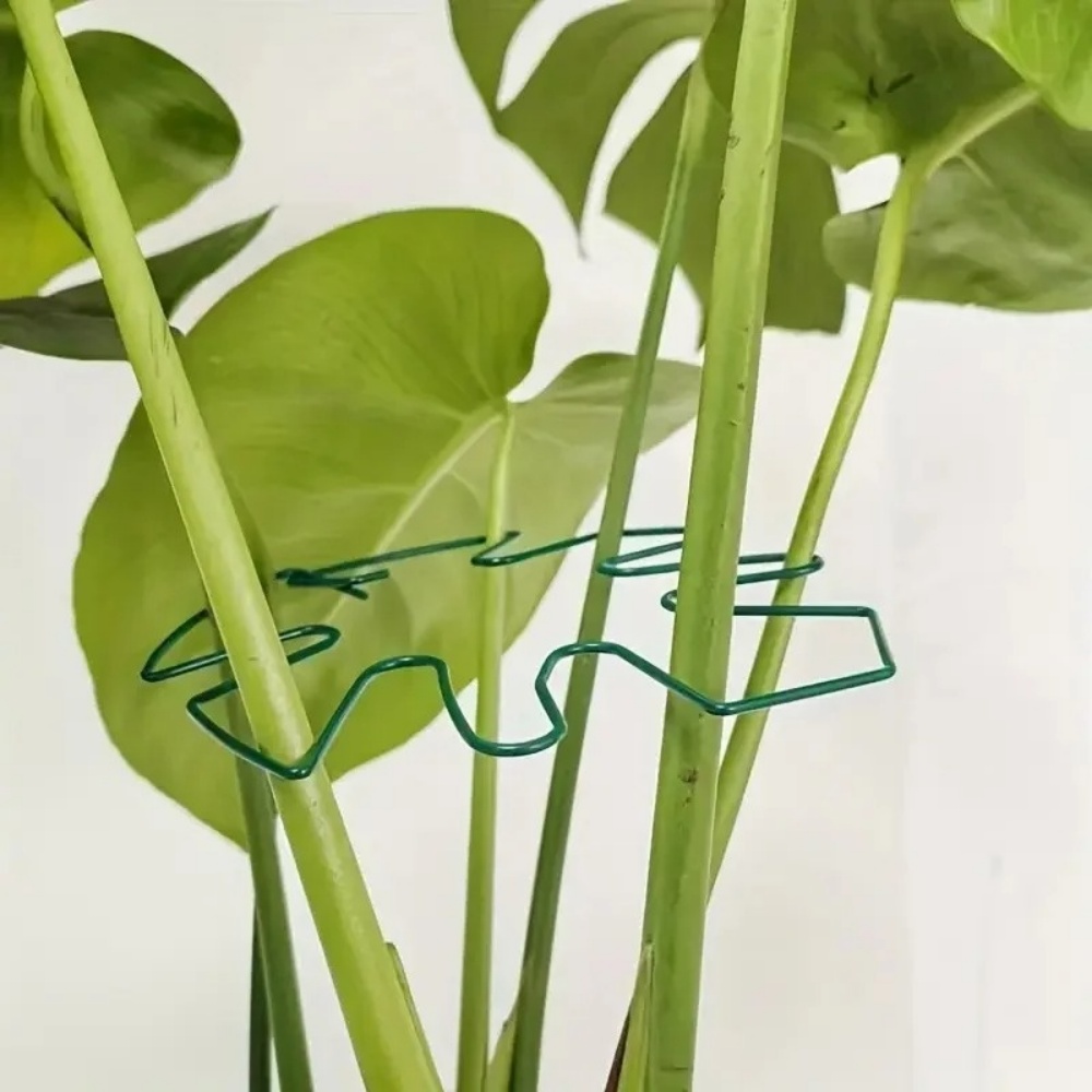 1 adet büyük bitki standı iç m - Variegated Monstera Node incelemesi ve fiyatı