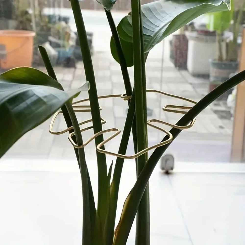 1 adet büyük bitki standı iç m - Variegated Monstera Node incelemesi ve fiyatı