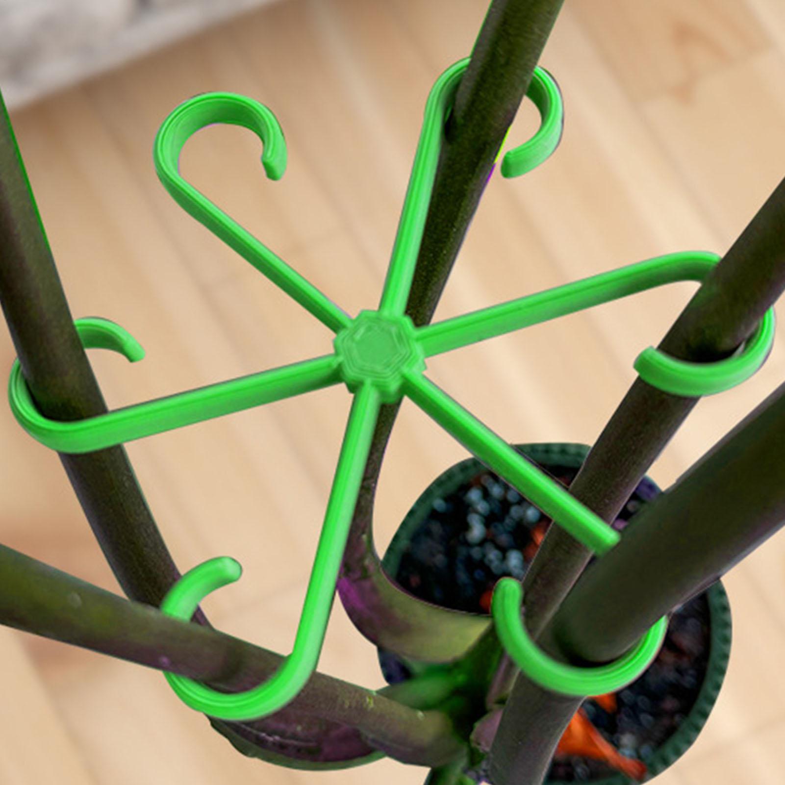 4 adet bitkiler kök destek kli - Variegated Monstera Node incelemesi ve fiyatı